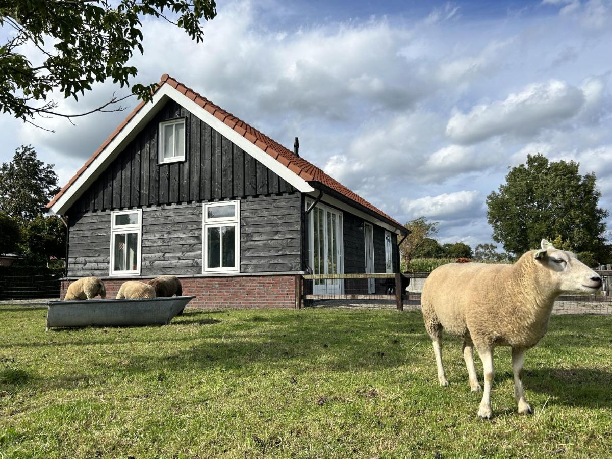 Geldersche Tuin 6 Persoons Villa Emst Eksteriør bilde